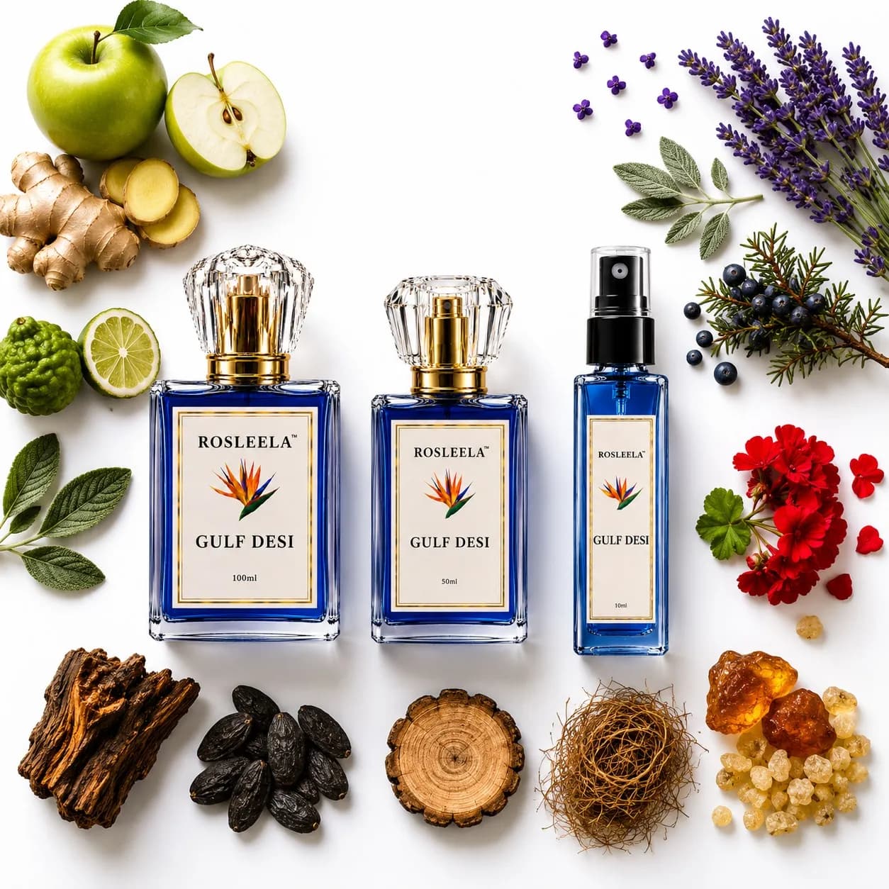 Gulf Desi Men's Perfume | Fresh Woody Citrus Aromatic Fragrance(10ml) - Image 3